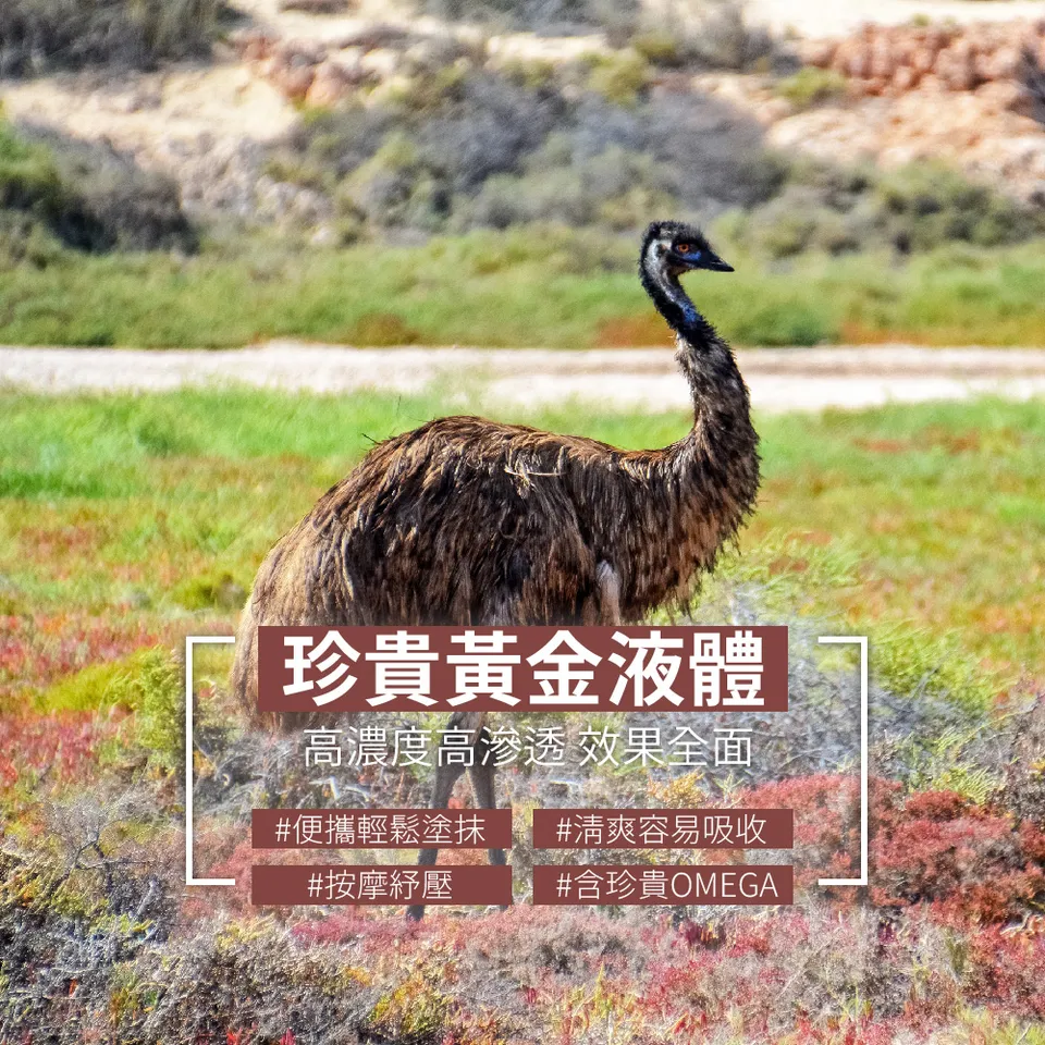 【AUSSHOW】鴯鶓菁華油 30ml 圖 11