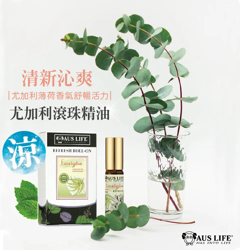 【澳思萊AUS LIFE】尤加利滾珠精油 5.3ml 圖 4