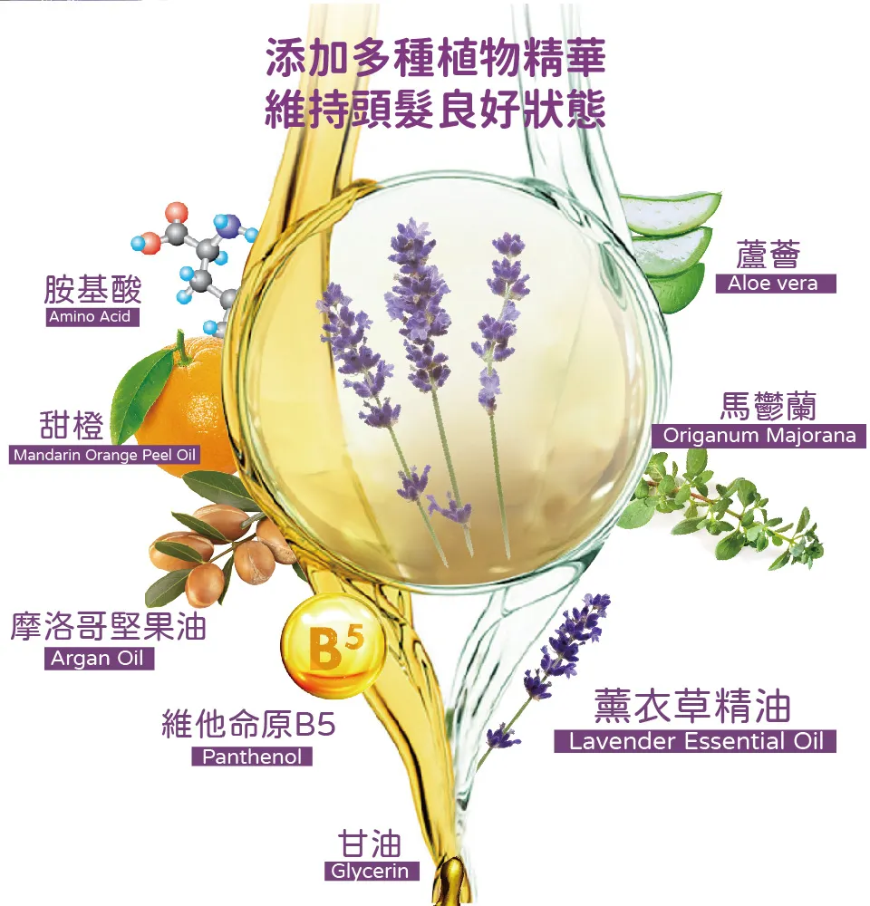 【澳思萊AUS LIFE】薰衣草活絡健康洗髮精 500ml 圖 6