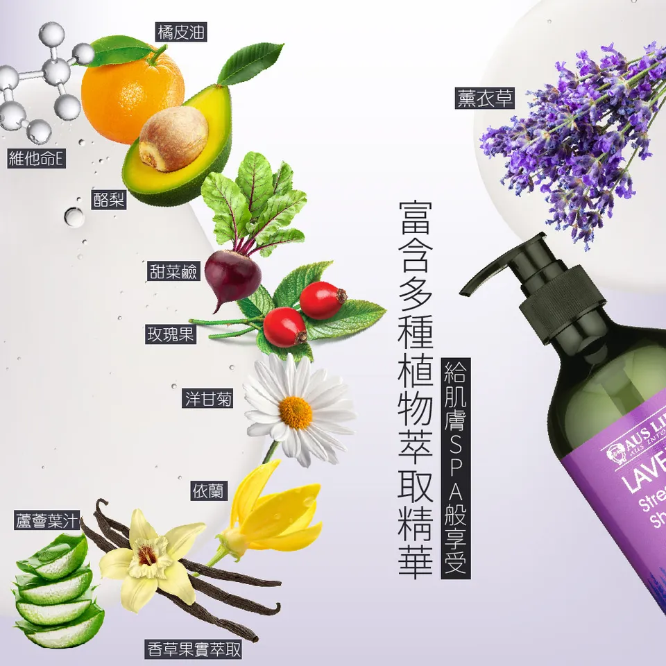 【澳思萊AUS LIFE】薰衣草沐浴精露 500ml 圖 8
