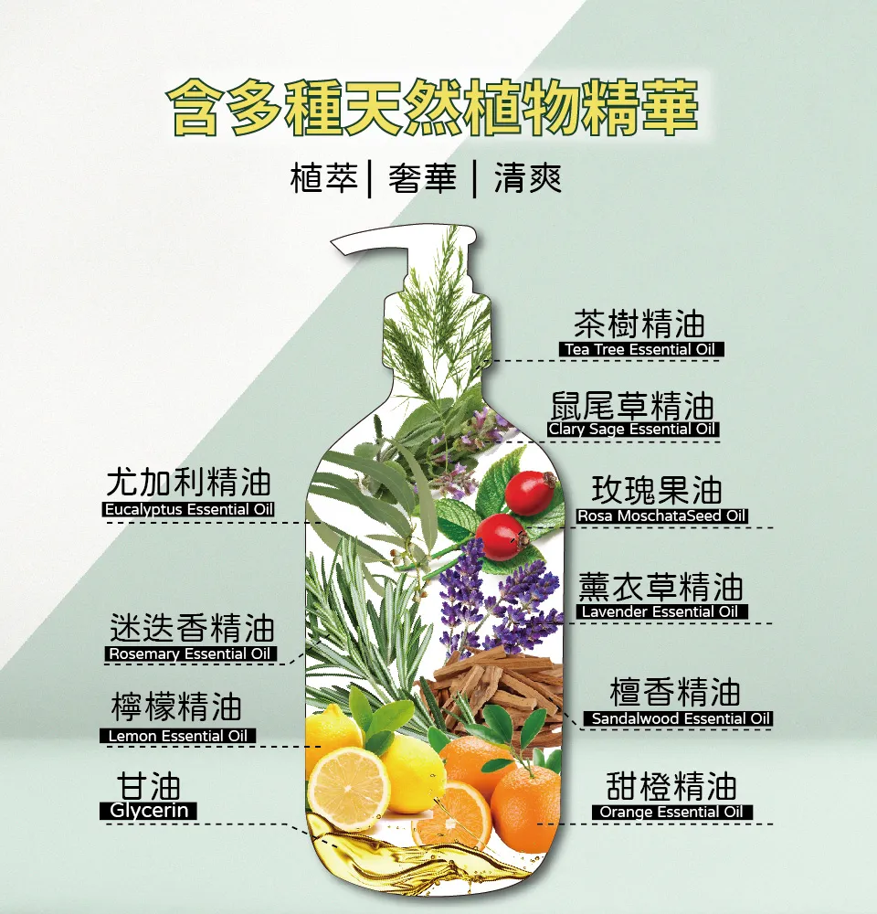 【澳思萊AUS LIFE】茶樹調理控油沐浴精露 500ml 圖 6