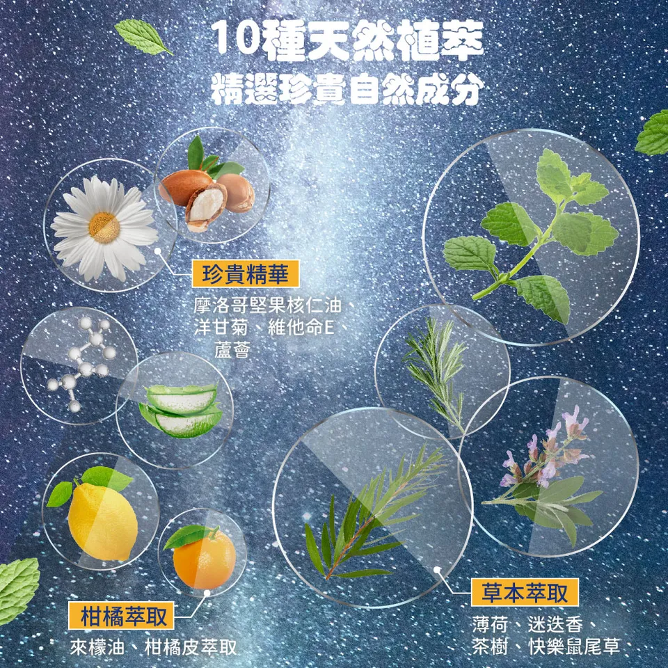 【澳思萊AUS LIFE】咖啡因薄荷舒涼洗髮精 550ml 圖 6