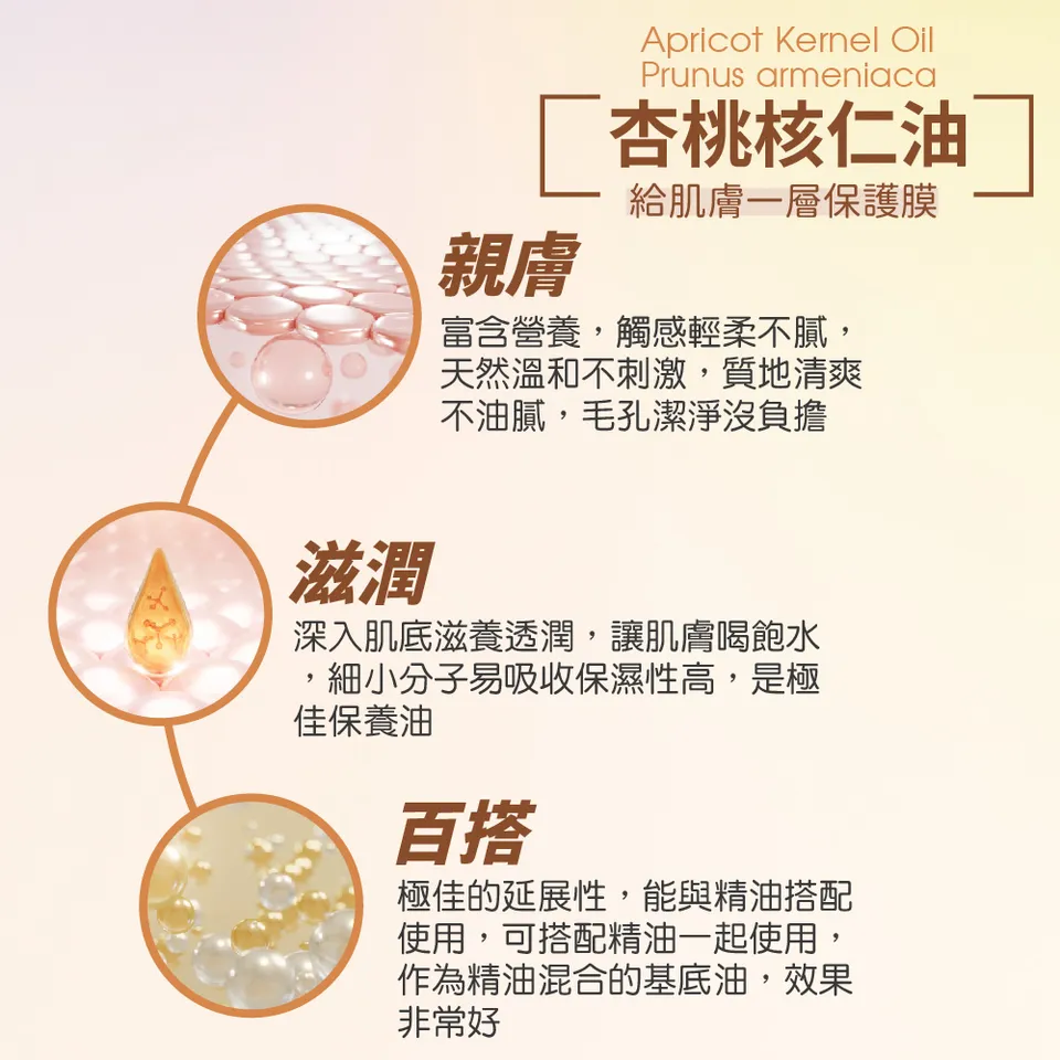 【澳維花園Aus Garden】杏桃核仁油 200ml 圖 6