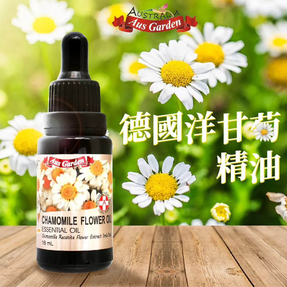 【澳維花園Aus Garden】德國洋甘菊精油 16ml 圖 3