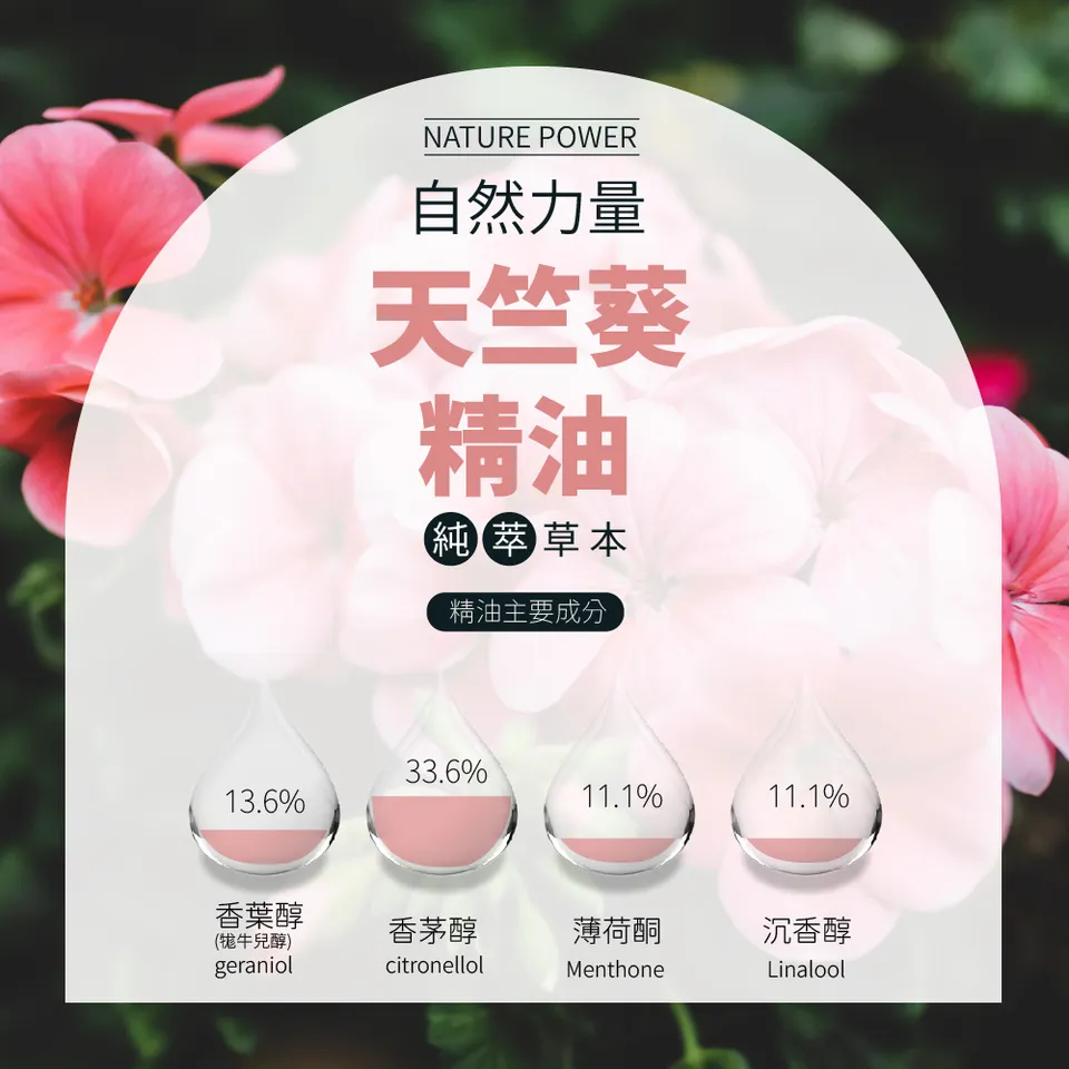 【澳維花園Aus Garden】天竺葵精油 16ml 圖 7