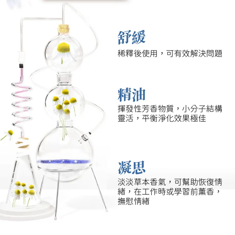 【澳維花園Aus Garden】德國洋甘菊精油 16ml 圖 4