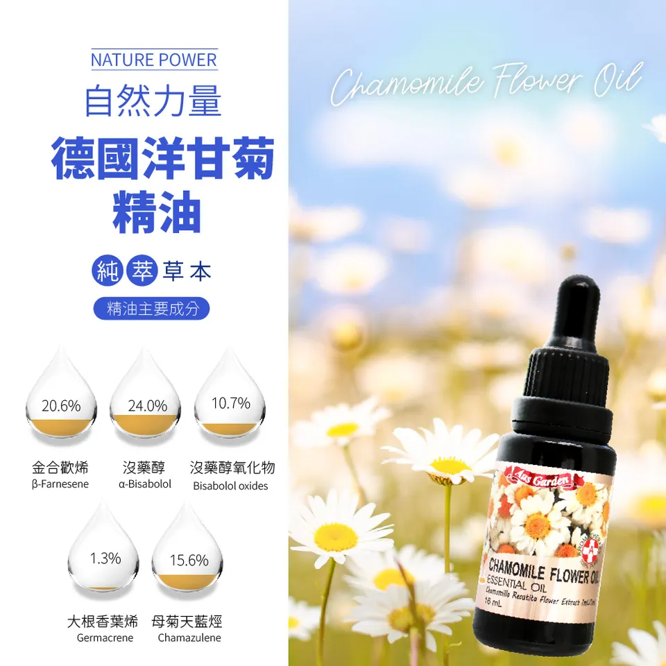 【澳維花園Aus Garden】德國洋甘菊精油 16ml 圖 6