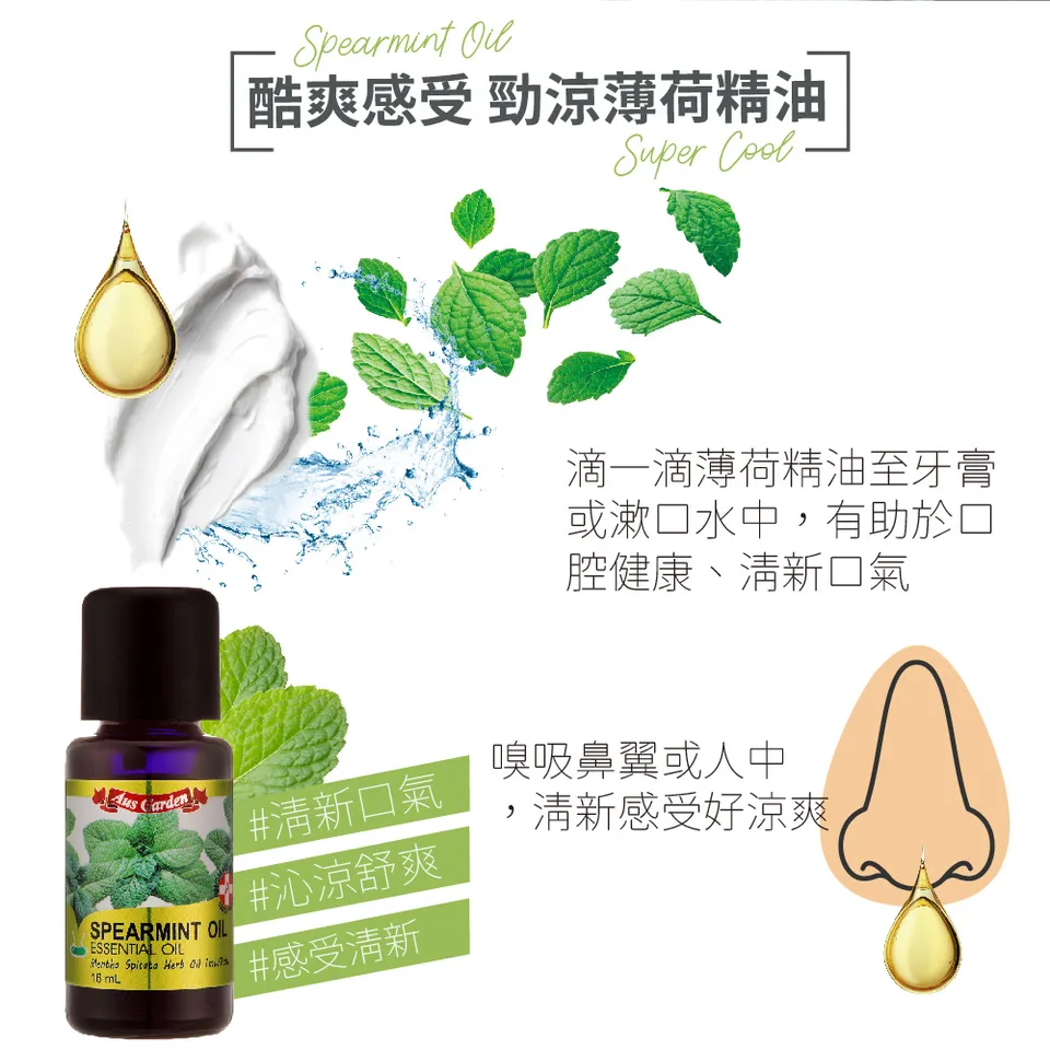 【澳維花園Aus Garden】綠薄荷精油 16ml 圖 9