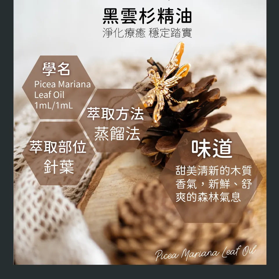 【澳維花園Aus Garden】黑雲杉精油 16ml 圖 8