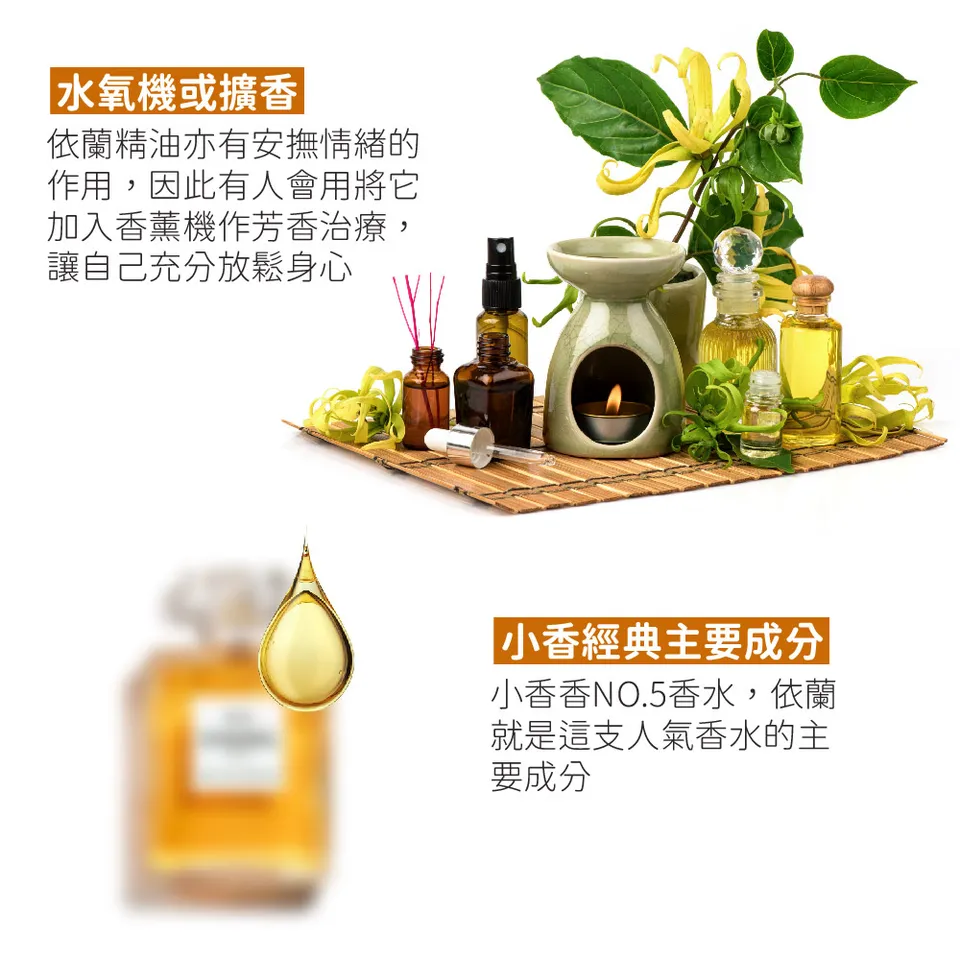 【澳維花園Aus Garden】依蘭精油 16ml 圖 6
