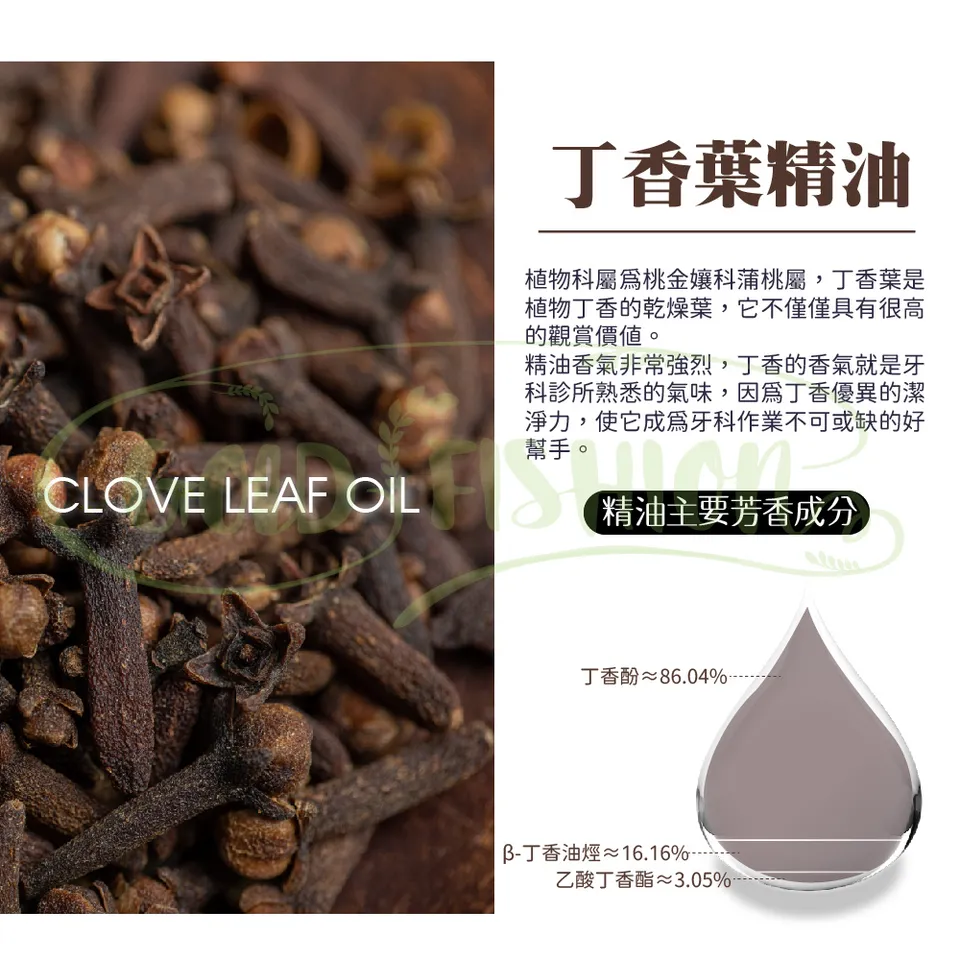 【澳維花園Aus Garden】丁香葉精油 16ml 圖 6