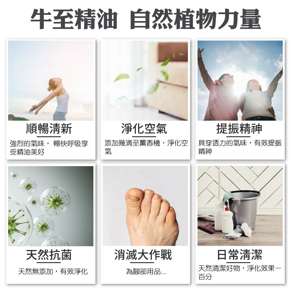 【澳維花園Aus Garden】牛至精油 16ml 圖 4