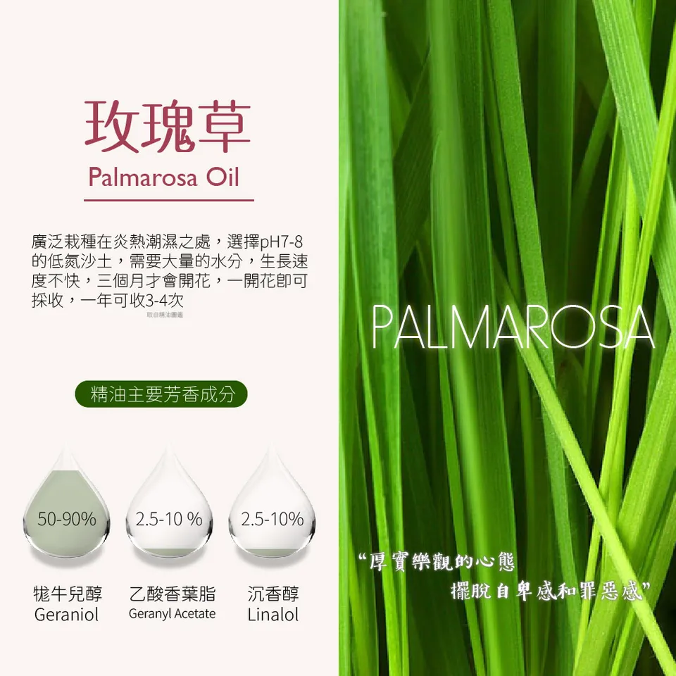 【澳維花園Aus Garden】玫瑰草精油 16ml 圖 7