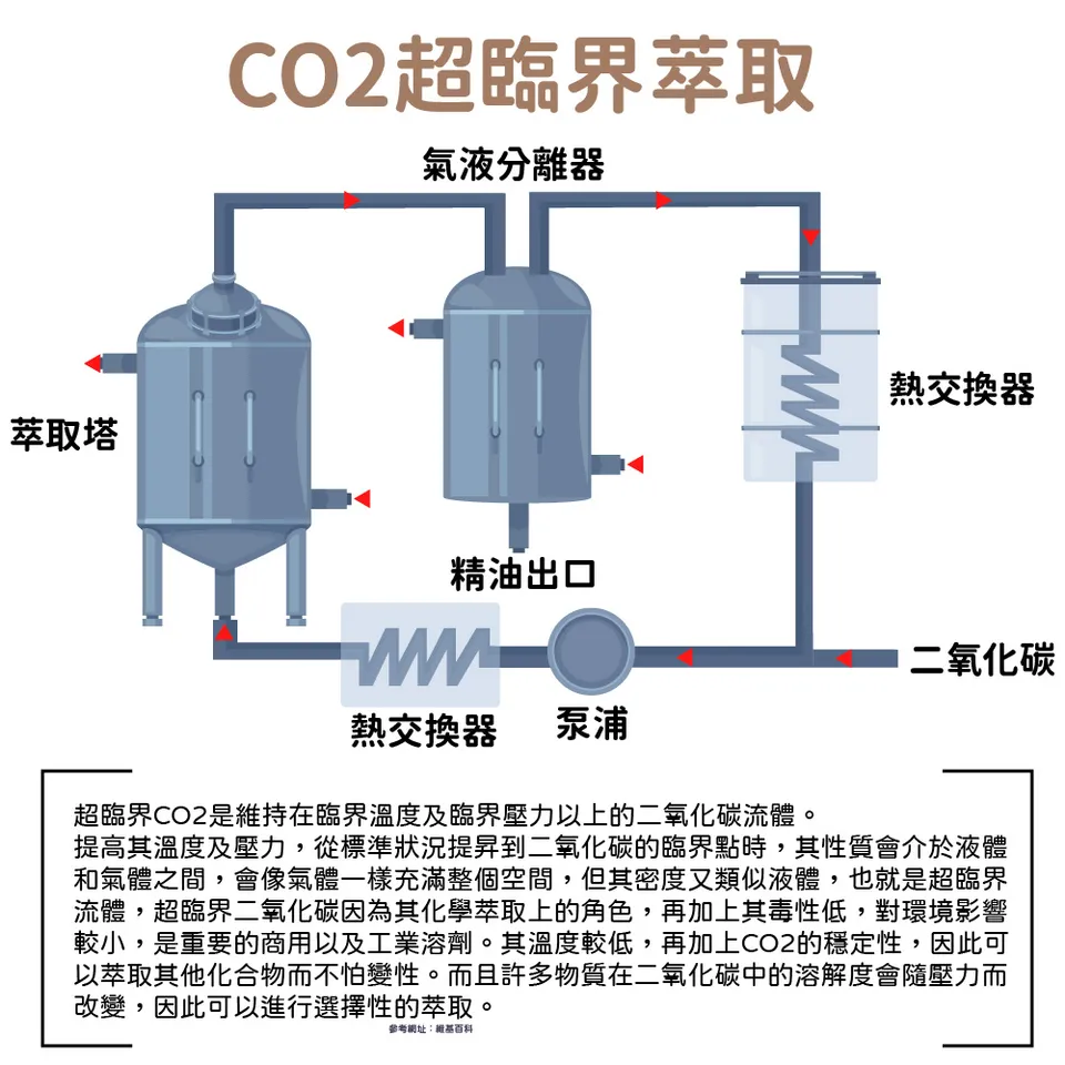 【澳維花園Aus Garden】薑精油 16ml 圖 9