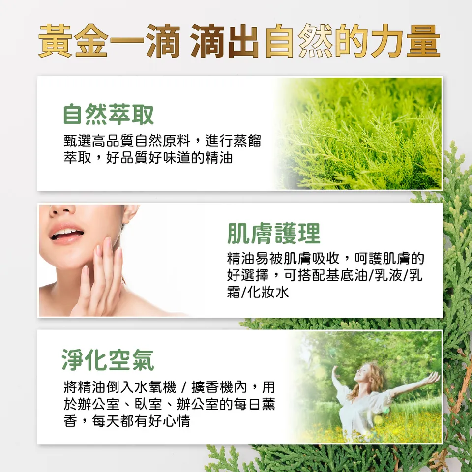 【澳維花園Aus Garden】絲柏精油 16ml 圖 6