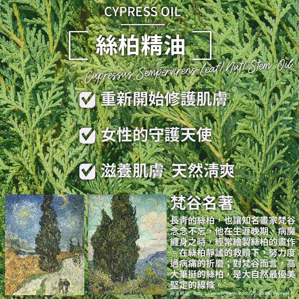 【澳維花園Aus Garden】絲柏精油 16ml 圖 7