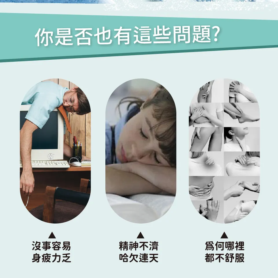 【澳維花園Aus Garden】薄荷精油30ml 圖 4