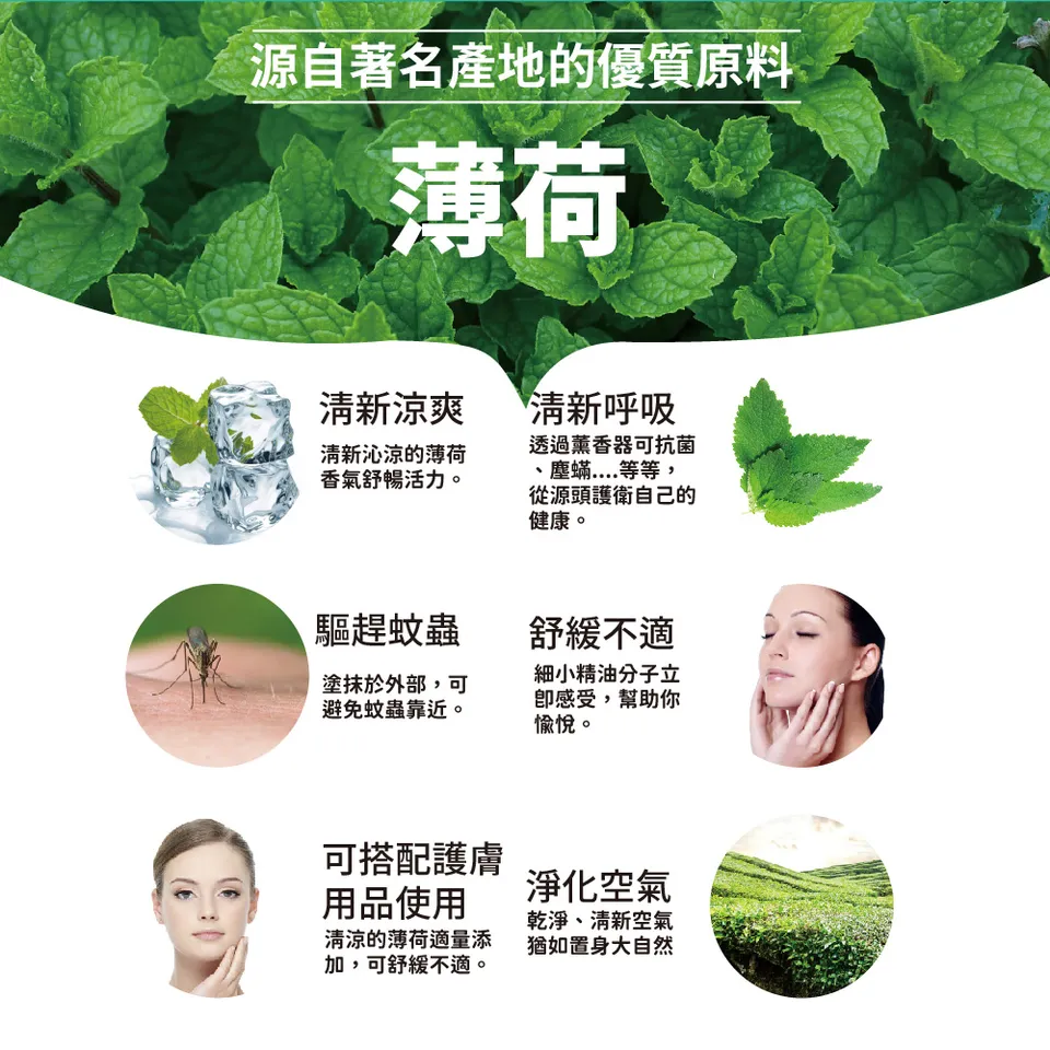 【澳維花園Aus Garden】薄荷精油30ml 圖 7