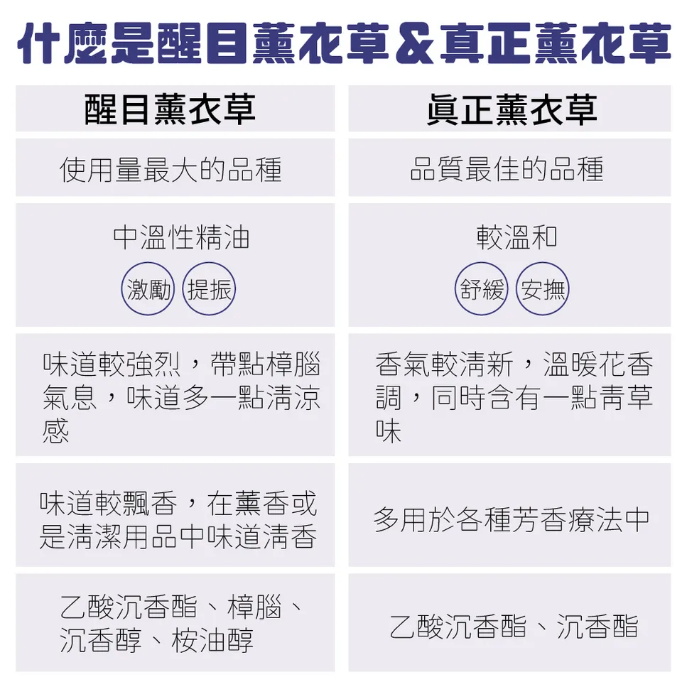 【澳維花園Aus Garden】醒目薰衣草精油100ml 圖 7