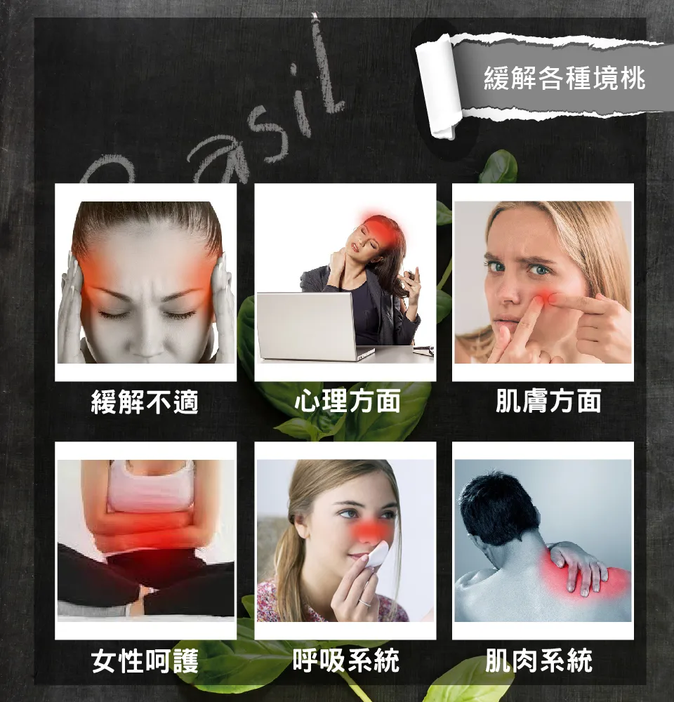 【澳維花園Aus Garden】羅勒精油50ml 圖 6