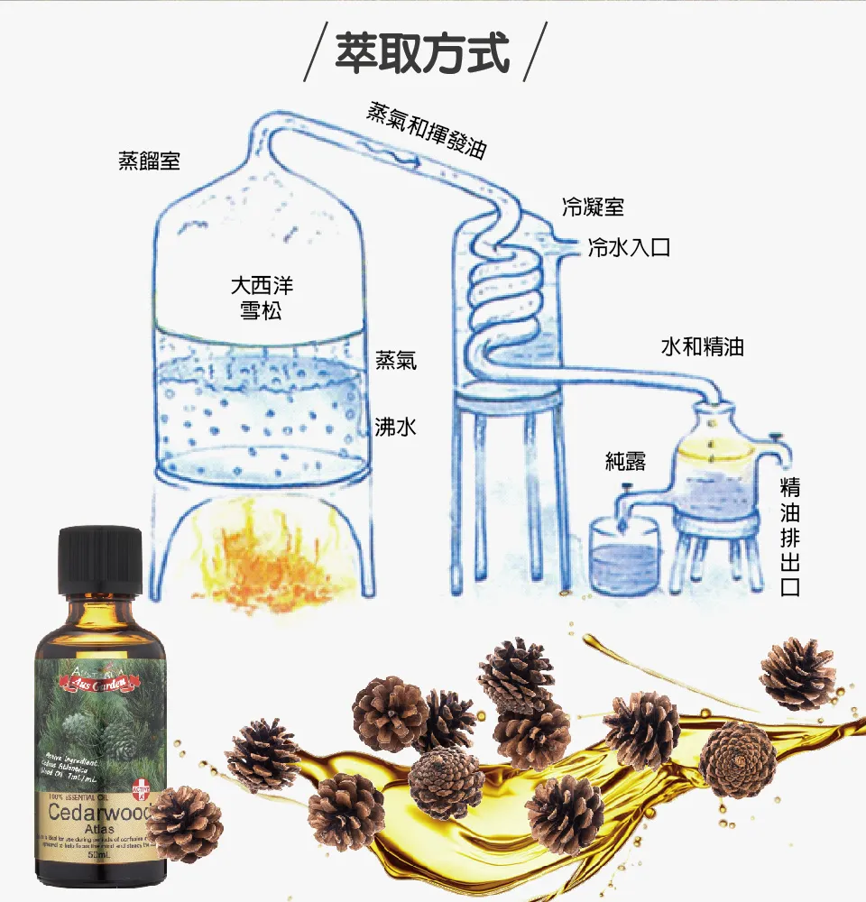 【澳維花園Aus Garden】大西洋雪松精油50ml 圖 6