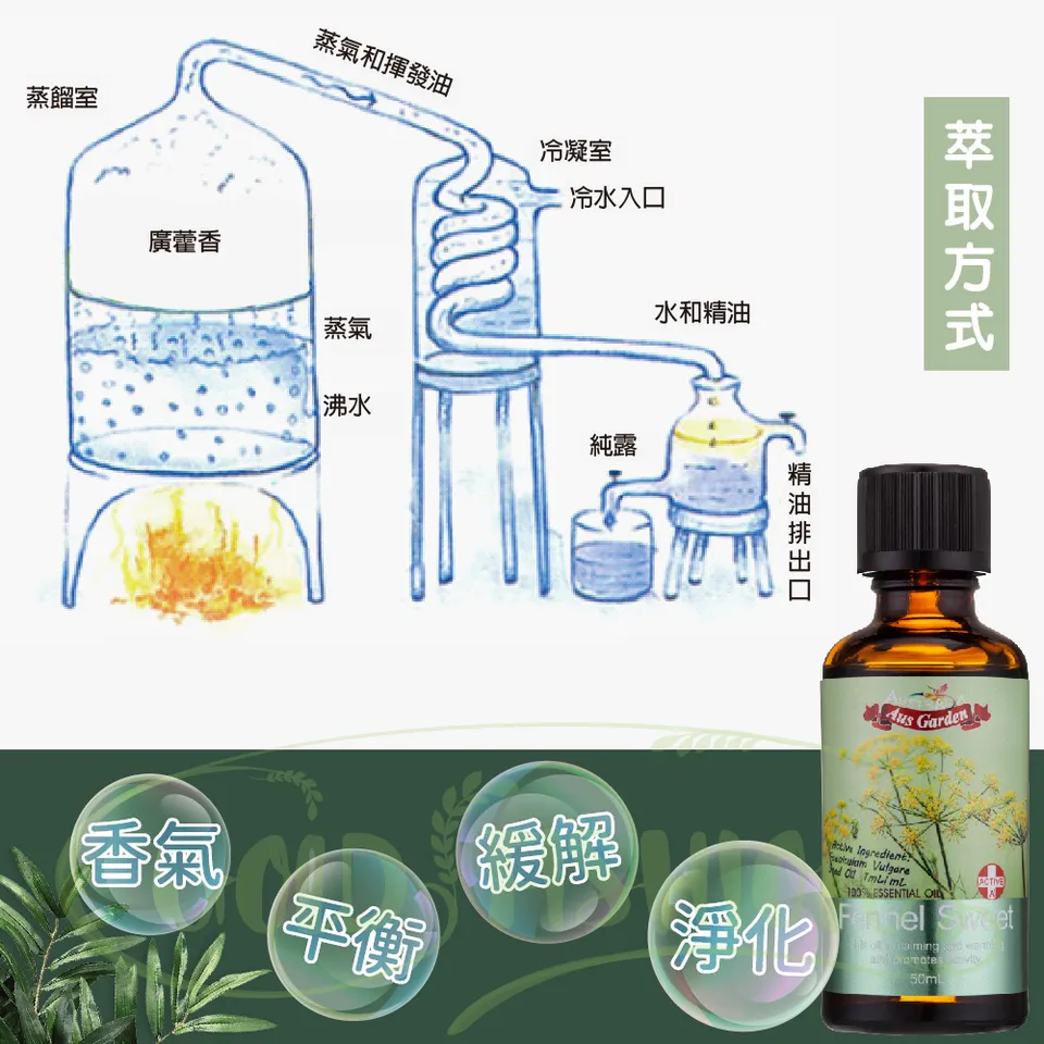 【澳維花園Aus Garden】甜茴香精油50ml 圖 7