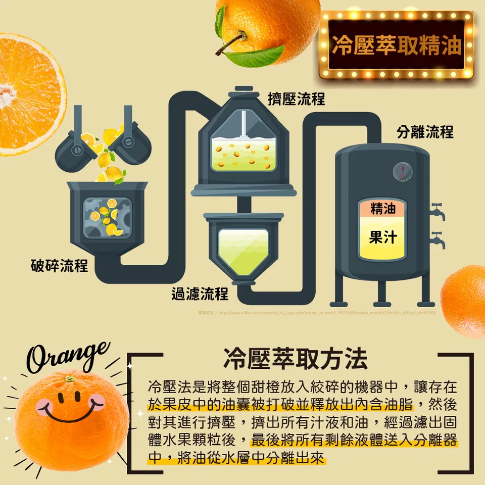 【澳維花園Aus Garden】澳洲甜橙精油50ml 圖 6